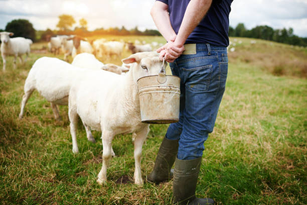 istock Hand fed, healthy and happy 887310766
