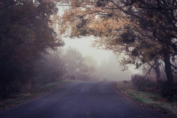 istock Road to the fog 887312472