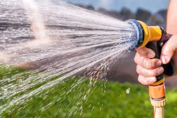 Photo of watering the grass with hose