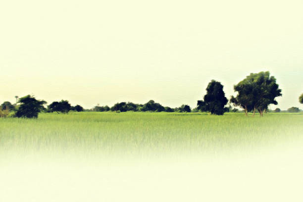 istock Abstract beautiful tree and landscape on watercolor painting background. 887318650