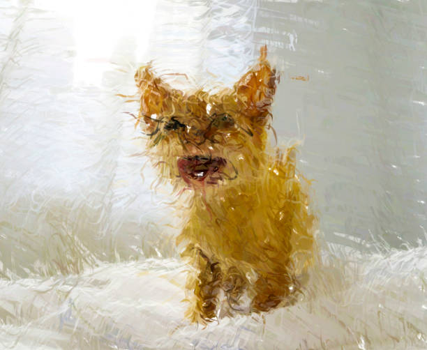 istock Little Kitten on white background - Digital Illustration 887322080