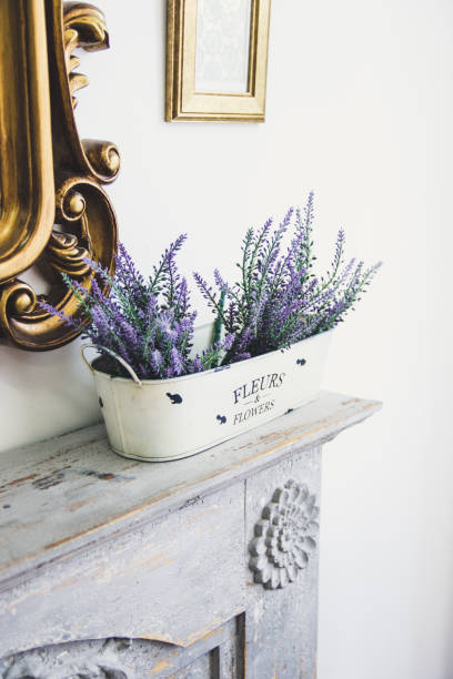 istock lavender flowers in a white pot 887322628