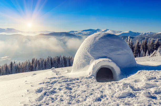 real igloo and sun real snow igloo in the mountains under blue sky and sun igloo stock pictures, royalty-free photos & images