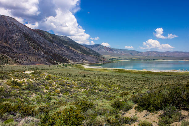 istock Mono Lake, California 887333588