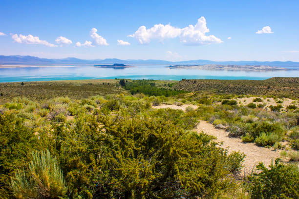 istock Mono Lake, California 887333920