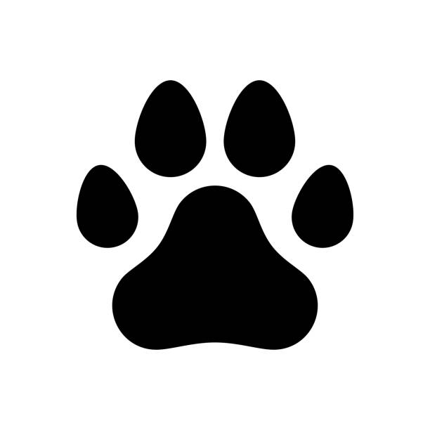 Paw of a dog A trace of a dog paw. Logo, symbol, sign. Vector illustration paw print stock illustrations