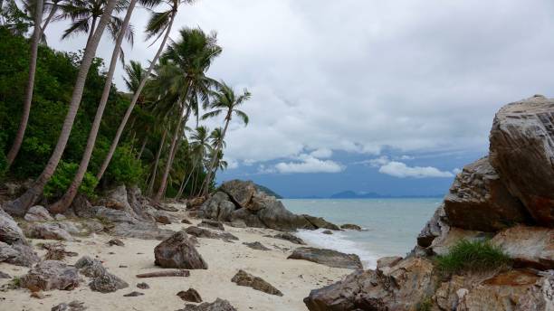 istock Coast landscape view over a nice beach with palm trees and some rocks 887340788