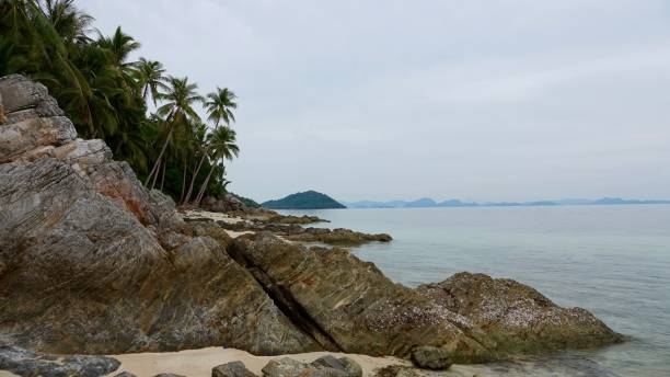 istock Coast landscape view over a nice beach with palm trees and some rocks 887340808