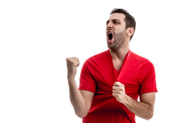 istock Soccer fan celebrating 887351244