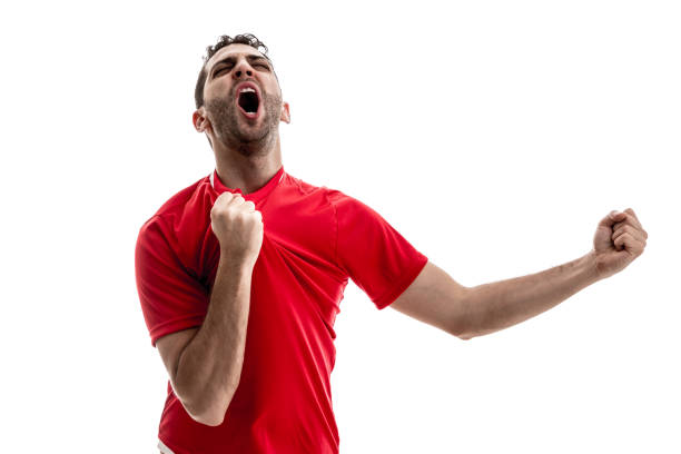 istock Soccer fan celebrating 887351252