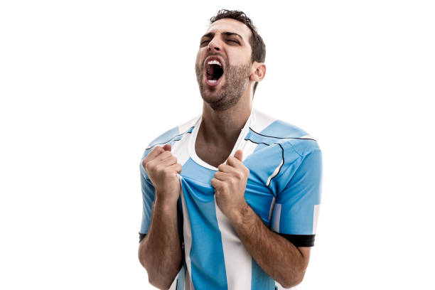 istock Soccer fan celebrating 887351290
