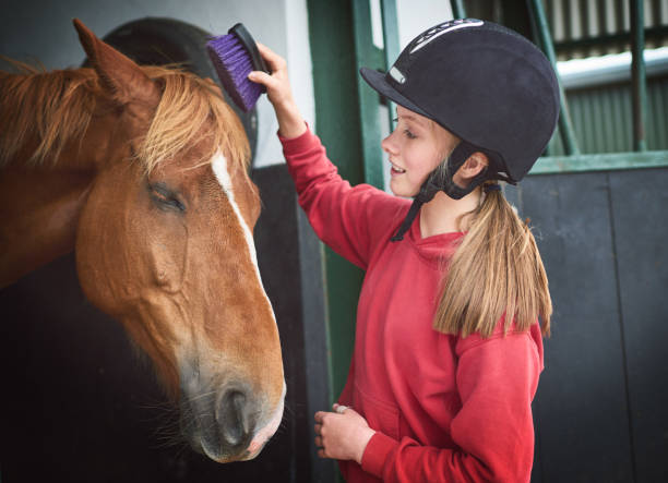 istock Everybody loves some pampering 887357460