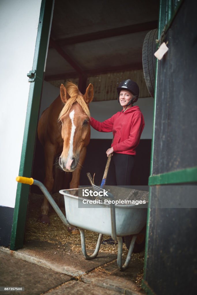 I Feel At Home Down At The Stables Stock Photo - Download Image Now - Stable,  Horse, Child - iStock