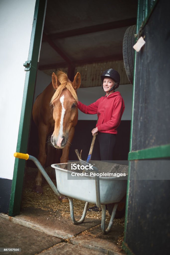 I Feel At Home Down At The Stables Stock Photo - Download Image Now - Stable, Horse, Child - iStock I Feel At Home Down At The Stables Stock Photo - Download Image Now - Stable, Horse, Child - iStock