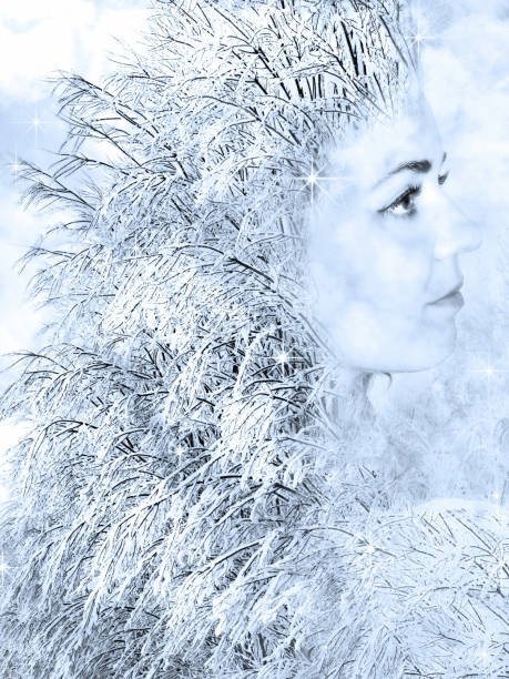 девушка в образе зимы - snow maiden стоковые фото и изображения