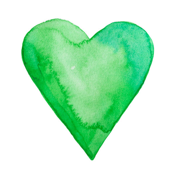 зеленое акварель сердца. - heart shape grass paper green stock illustrations