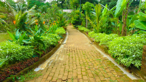 istock road in the green garden 887361582