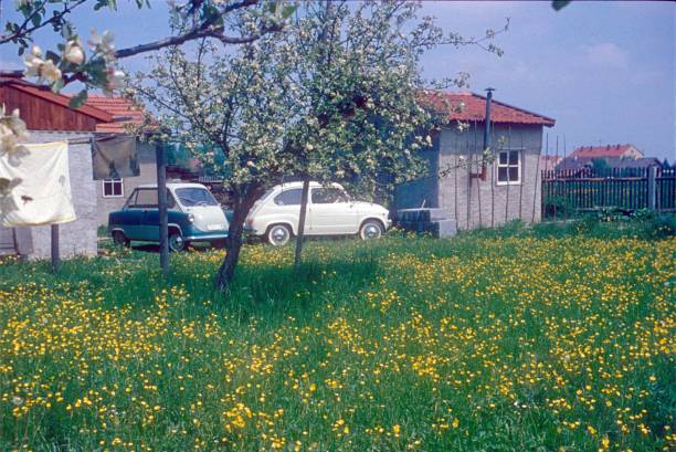 istock Summer in the country 887366820