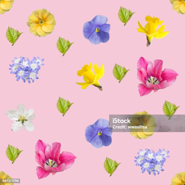Spring Flowers Seamless Background Pattern Stock Photo - Download Image ...