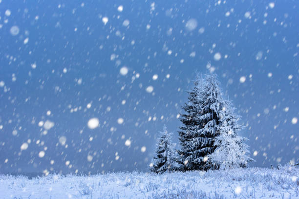 istock Christmas background with snowy fir trees 887372164