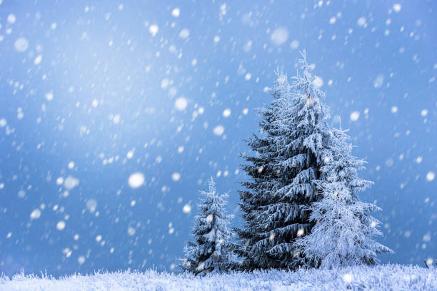 istock Christmas background with snowy fir trees 887372180