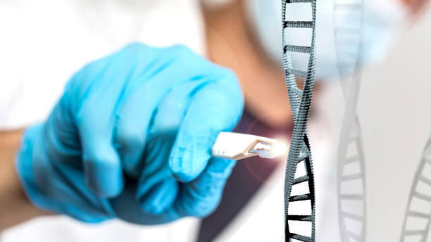 a doctor editing a DNA strand a doctor editing a DNA strand crispr photos stock pictures, royalty-free photos & images
