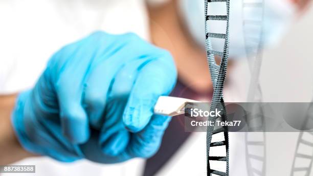 A Doctor Editing A Dna Strand Stock Photo - Download Image Now - CRISPR, DNA, Assistance