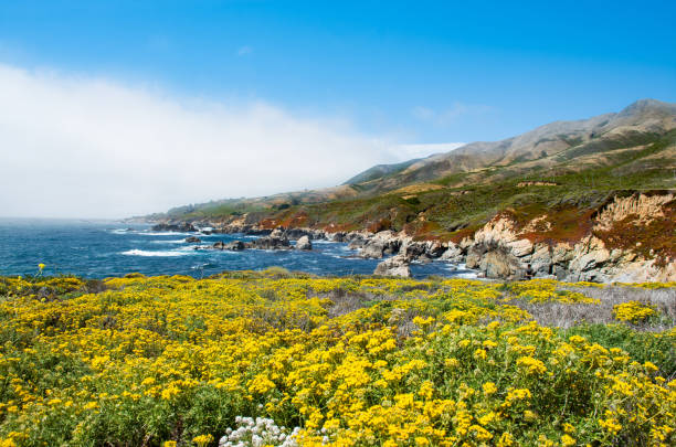 istock Beautiful summer mountain coastal view. 887384010