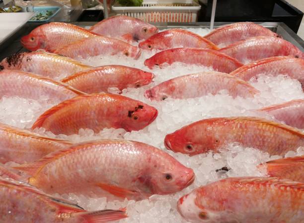 istock The red fishes. 887389722