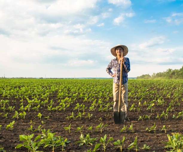 istock Happy small farmer with spade in spring field 887390152