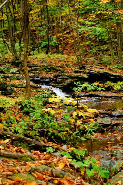 istock Waterfalls and Rocks During Autumn 887390212