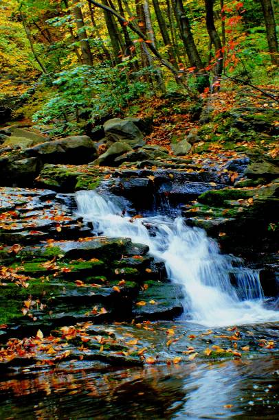 istock Waterfalls and Rocks During Autumn 887390214