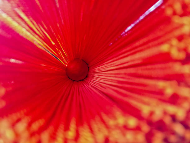 stamm des roten hellen chrysanthemenblüte hautnah - gerbera daisy stem flower head pink stock-fotos und bilder