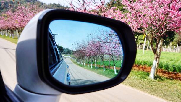 istock Reflection Of Trees On Side-View Mirror Of Car 887390670