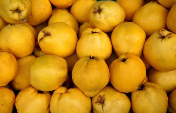 Quinces in the market