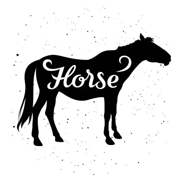 Vector illustration of Horse silhouette 003