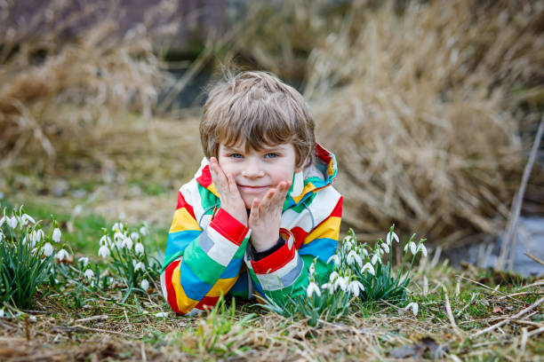 Cute blond preschool kid boy discovering first spring flowers, beautiful snowdrops. Active happy child in colorful clothes on meadow.