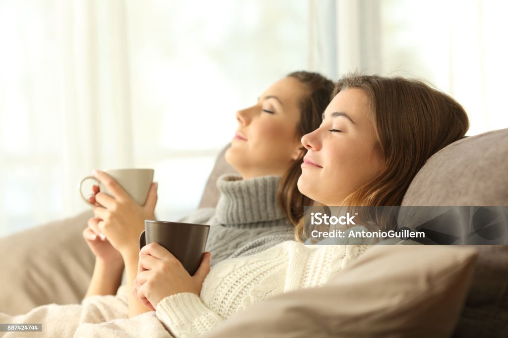 Compañeros de piso relax en invierno en un sofá - Foto de stock de Familia libre de derechos