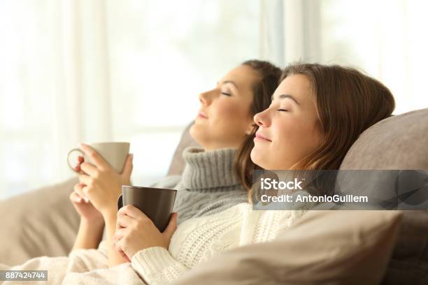 Roommates Relaxing In Winter On A Couch Stock Photo - Download Image Now - Family, Heat - Temperature, Winter
