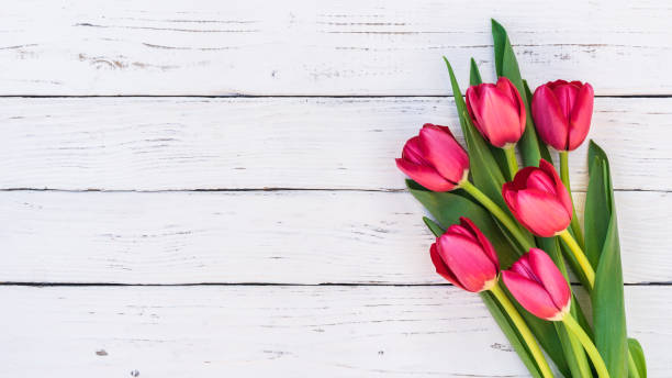 istock Spring flowers, bouquet of red tulips 887436468