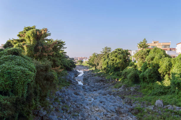 istock withered canal with lava rock river bed 887436782