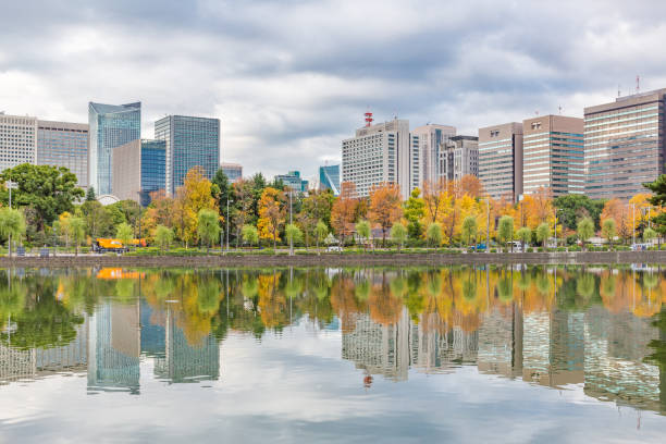 istock Urban building group and autumn leaves trees 887448588