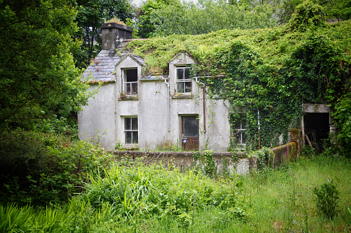 Ardgroom, Ireland - June 05, 2017: An abandoned farm cottage in rural County Cork, Ireland. The product of a poor economy.