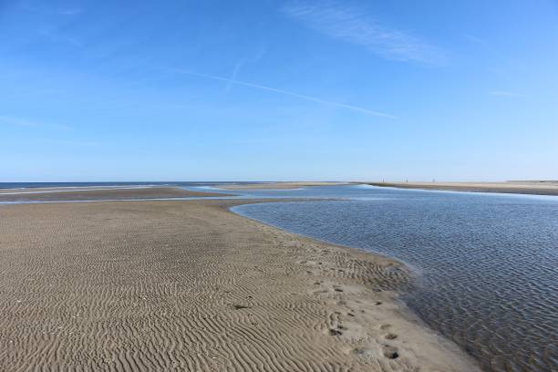 istock North Sea in Germany 887478716