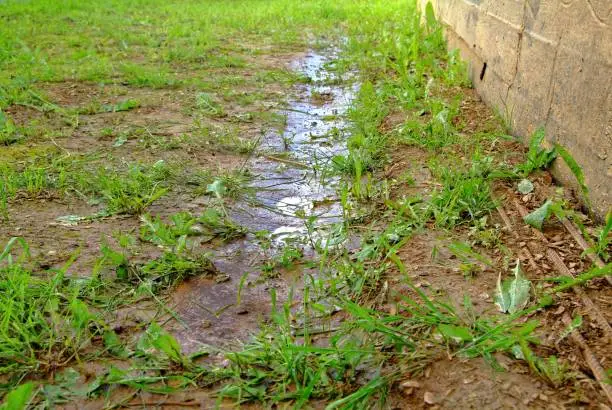puddles after rain near the wall of a wooden house, Russia