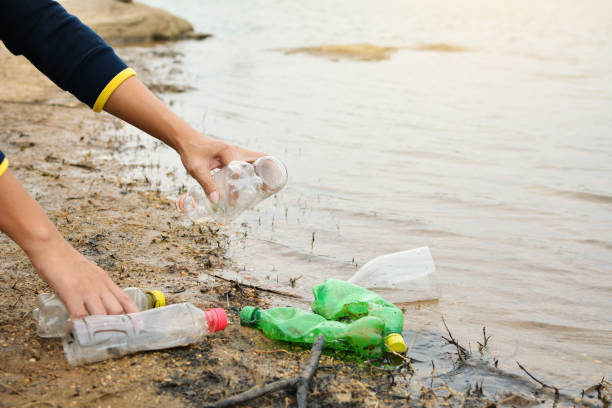 istock Volunteers Cleaning Lakeshore At Forest 887484936