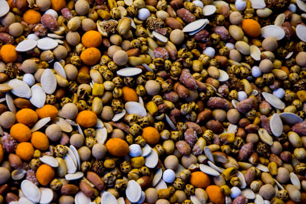 istock mix of several kinds of nuts 887490506