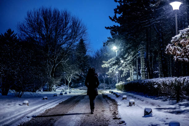 istock Woman walking in the park while snow is falling 887495396
