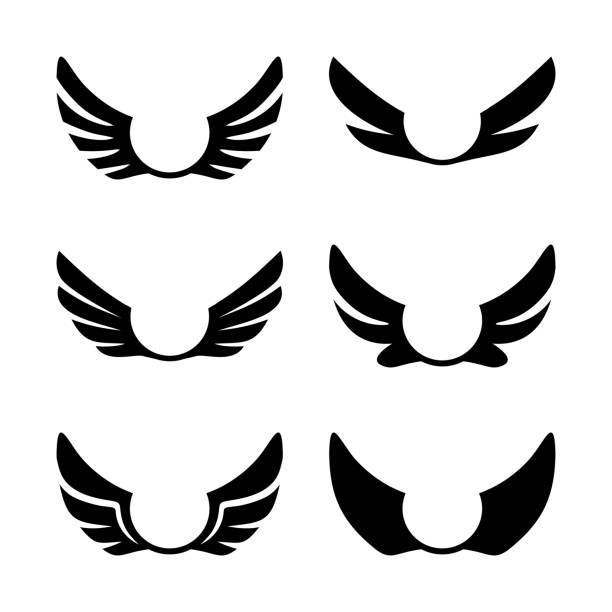 крылья иконки вектор набор - aerofoil stock illustrations
