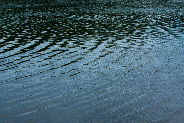 istock Water ripples, River ripples, Abstract water texture background 887495746